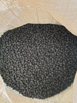 샤이니바다님의 콩 · 영농일지 작성글 사진