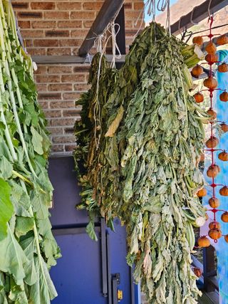 김해열님의 기타작물 · 영농일지 작성글 사진