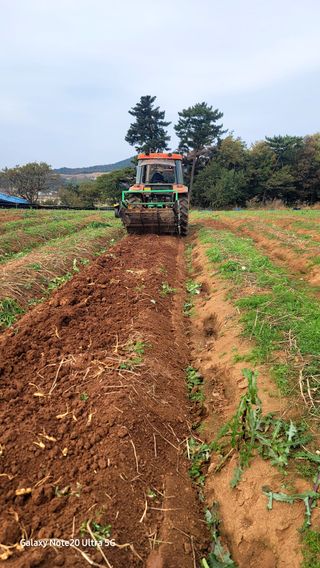 가재승님의 기타작물 · 영농일지 작성글 사진