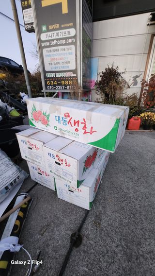 김동식님의 두릅 · 영농일지 작성글 사진