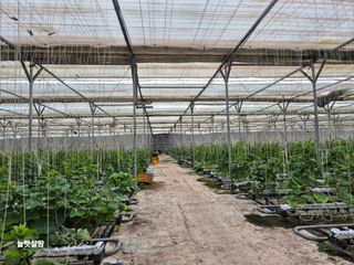 늘햇살팜 님의 기타작물 · 영농일지 작성글 사진