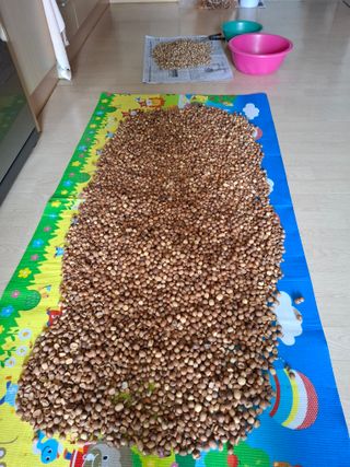 결단이님의 기타작물 · 영농일지 작성글 사진