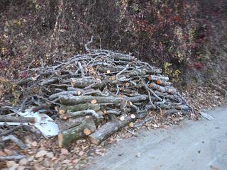 김가현님의 사과 · 영농일지 작성글 사진