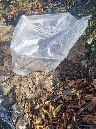 김용대님의 마늘 · 영농일지 작성글 사진