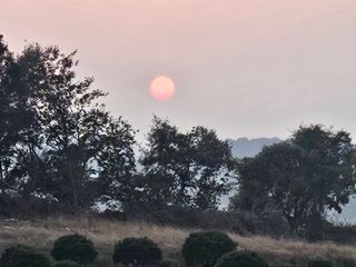 흰돌농원님의 기타작물 · 영농일지 작성글 사진