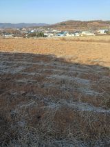 팜모닝 기타작물·영농일지 게시글 이미지