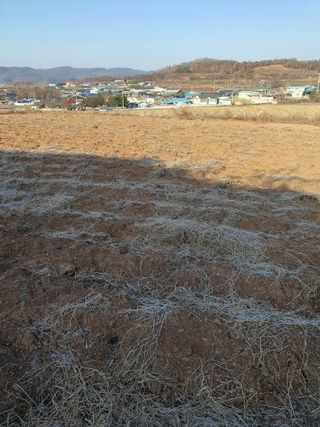 김영복님의 기타작물 · 영농일지 작성글 사진