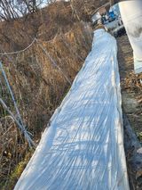 팜모닝 마늘·영농일지 게시글 이미지