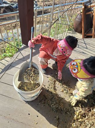 융중댁님의 기타작물 · 영농일지 작성글 사진