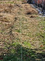 팜모닝 블루베리·영농일지 게시글 이미지