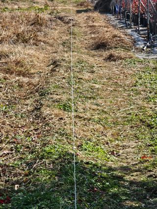 장문업 님의 블루베리 · 영농일지 작성글 사진