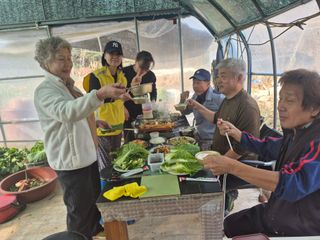 이경옥님의 기타작물 · 영농일지 작성글 사진