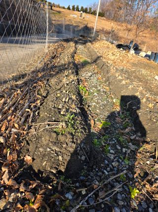 행운아님의 콩 · 영농일지 작성글 사진