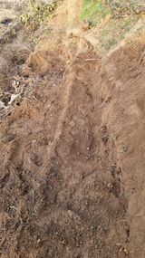 권혁렬님의 작성글 사진