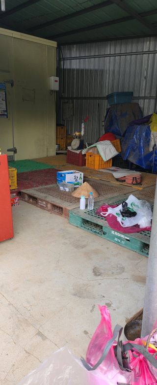 김가현님의 사과 · 영농일지 작성글 사진