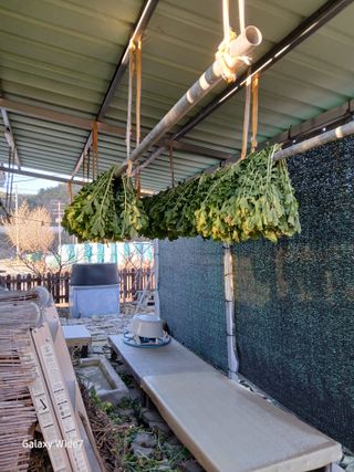 강재화님의 기타작물 · 영농일지 작성글 사진