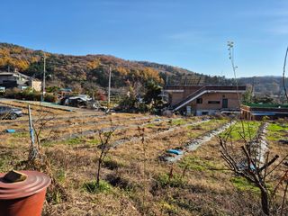 나오리농장님의 기타작물 · 영농일지 작성글 사진