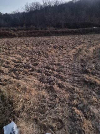 자두7424님의 벼 · 영농일지 작성글 사진