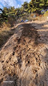 팜모닝 두릅·영농일지 게시글 이미지