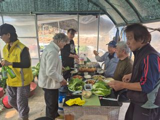 이경옥님의 기타작물 · 영농일지 작성글 사진