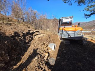 서보석님의 두릅 · 영농일지 작성글 사진