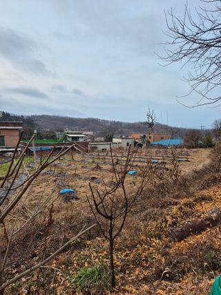 나오리농장님의 기타작물 · 영농일지 작성글 사진