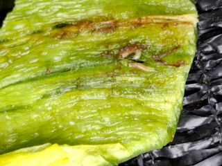 천성을향하여님의 고추 · 영농일지 작성글 사진