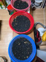 팜모닝 콩·영농일지 게시글 이미지