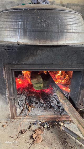 유윤주님의 배추 · 영농일지 작성글 사진