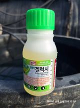 팜모닝 기타작물·영농일지 게시글 이미지