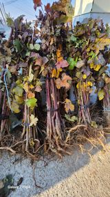 김동식님의 작성글 사진