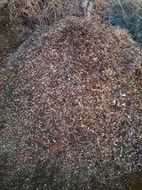 팜모닝 기타작물·영농일지 게시글 이미지