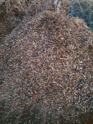 구강회님의 기타작물 · 영농일지 작성글 사진