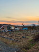 팜모닝 기타작물·영농일지 게시글 이미지