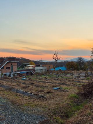 나오리농장님의 기타작물 · 영농일지 작성글 사진