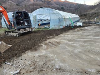 서보석님의 두릅 · 영농일지 작성글 사진