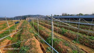 가재승님의 기타작물 · 영농일지 작성글 사진