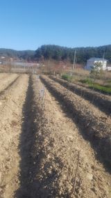 팜모닝 기타작물·영농일지 게시글 이미지