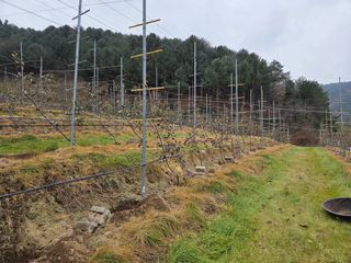 송종호님의 기타작물 · 영농일지 작성글 사진