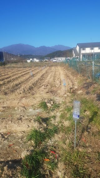 최춘득 청대산 님의 기타작물 · 영농일지 작성글 사진