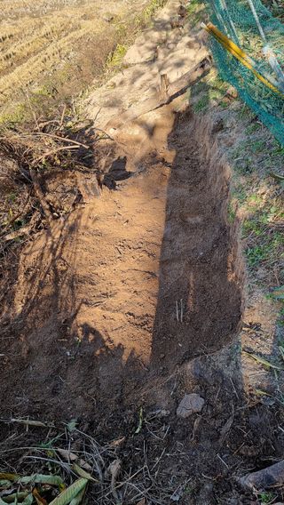 권혁렬님의 작성글 사진
