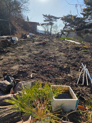 행운아님의 콩 · 영농일지 작성글 사진