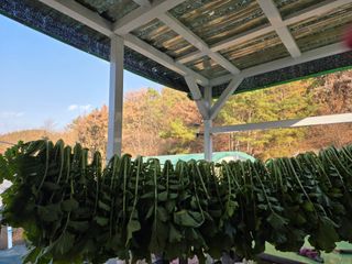 경주농장님의 기타작물 · 영농일지 작성글 사진