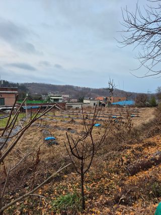 나오리농장님의 기타작물 · 영농일지 작성글 사진