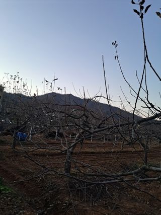 구강회님의 기타작물 · 영농일지 작성글 사진