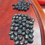 팜모닝 콩·영농일지 게시글 이미지