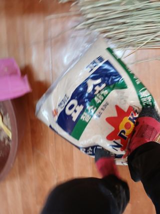 최유순님의 콩 · 영농일지 작성글 사진