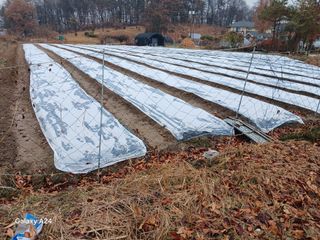 고양농장님의 기타작물 · 영농일지 작성글 사진