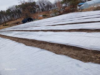 고양농장님의 기타작물 · 영농일지 작성글 사진