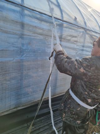 논산푸른팜님의 콩 · 영농일지 작성글 사진